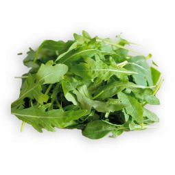 Roquette