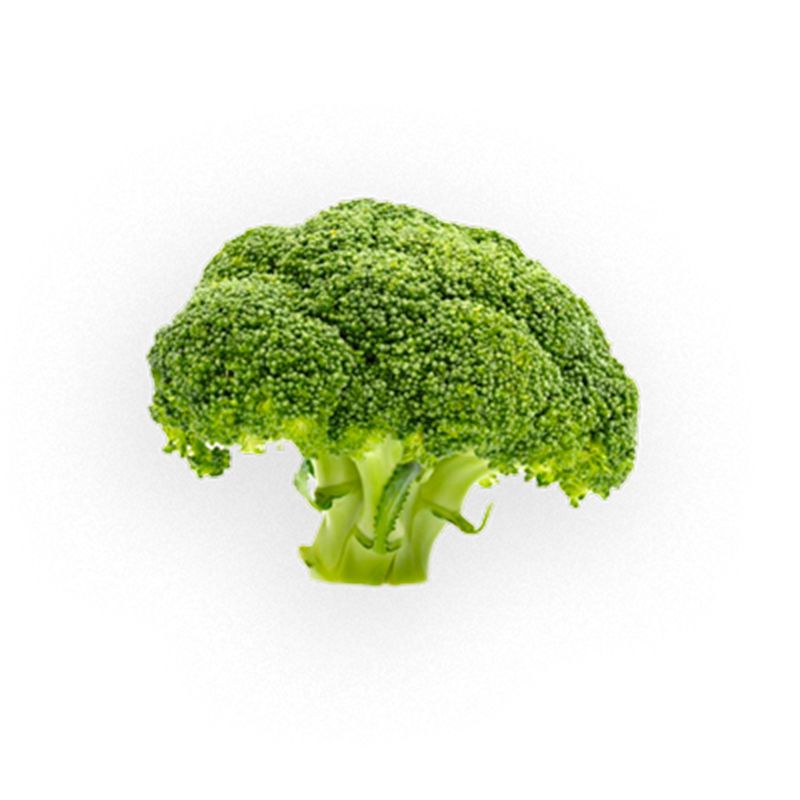 Broccoli