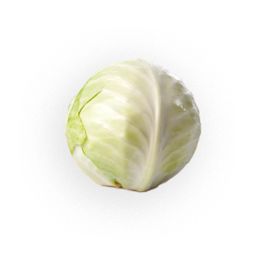 White Cabbage