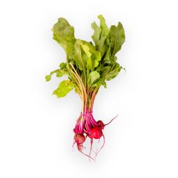 Baby Chioggia Beetroot