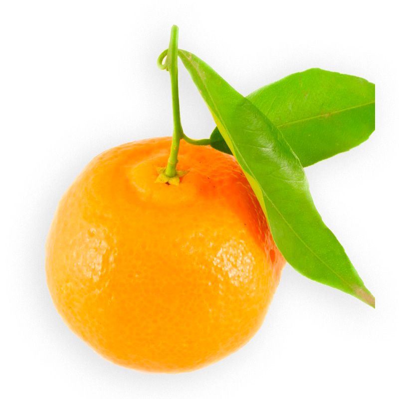 Clementines with Leaves from Suarone