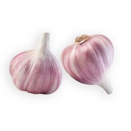 Purple Garlic