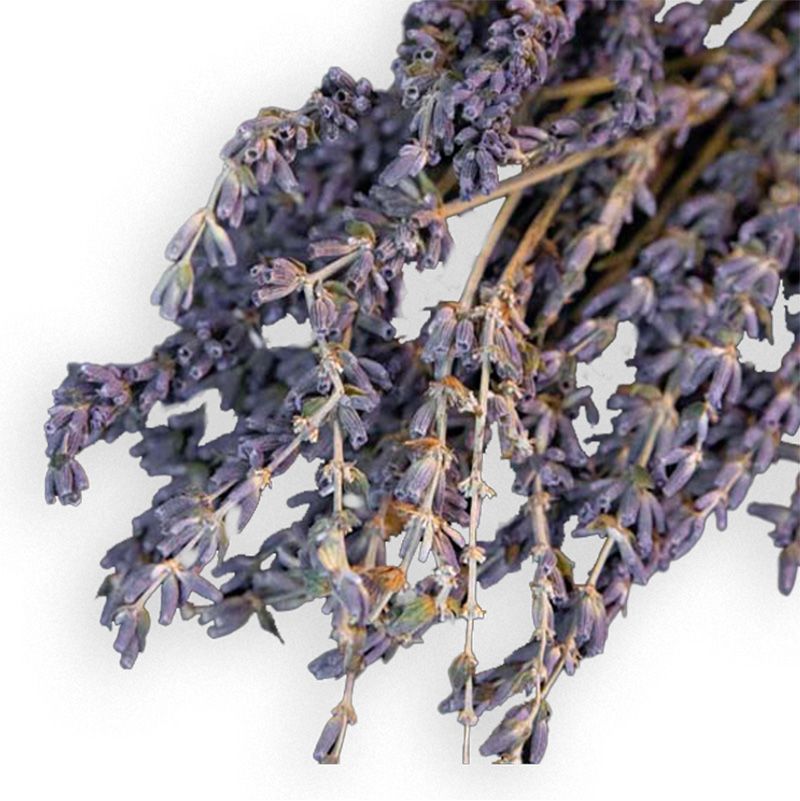 Dried Lavender