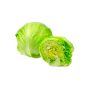 Iceberg Lettuce