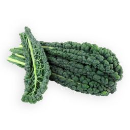 Cavolo Nero Lettuce