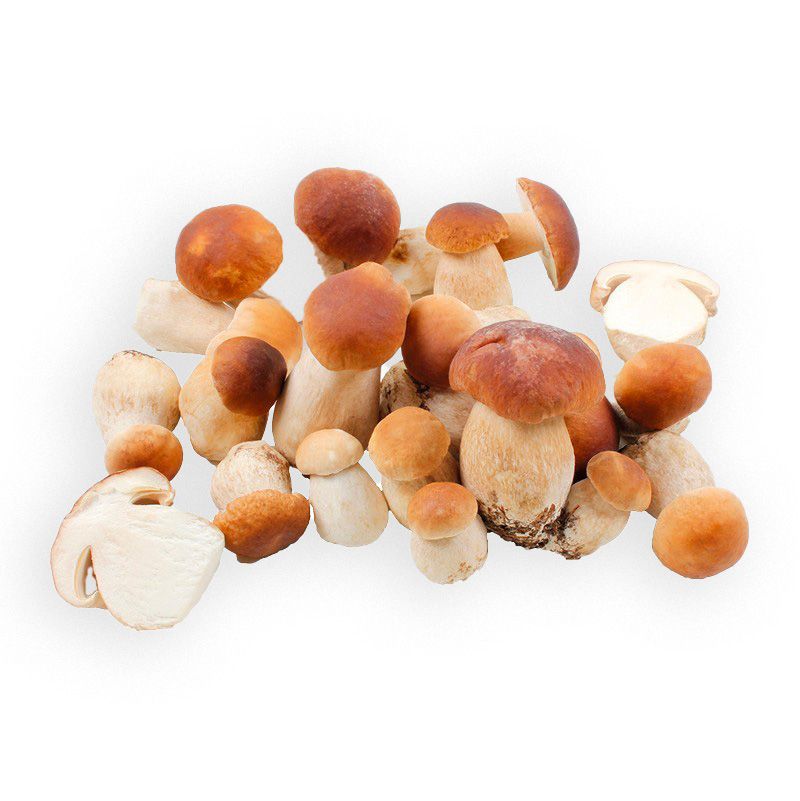 Frozen Extra Ceps