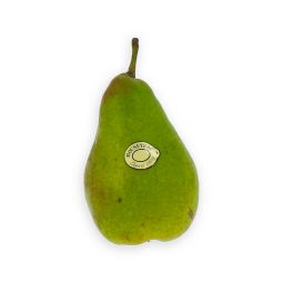 Louise Bonne Pear