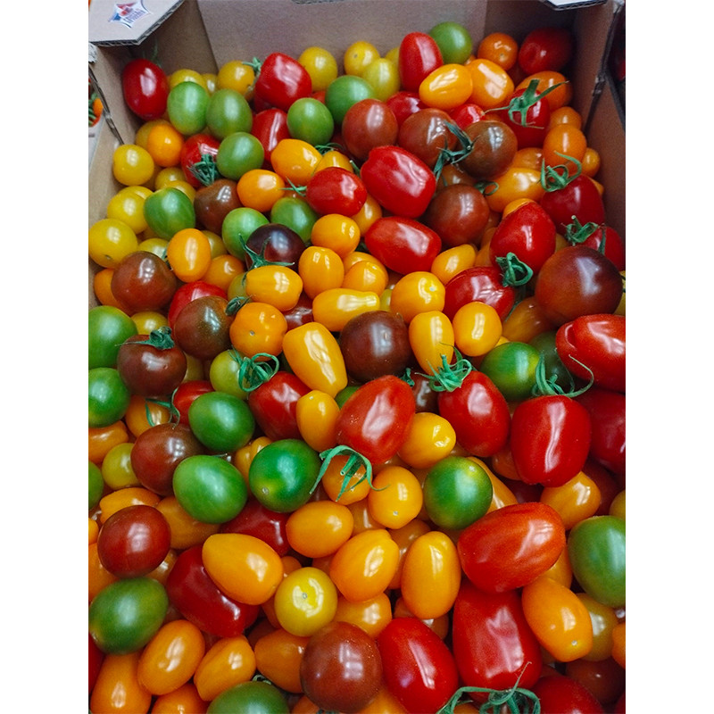 Cherry Tomatoes Mixed Coloured