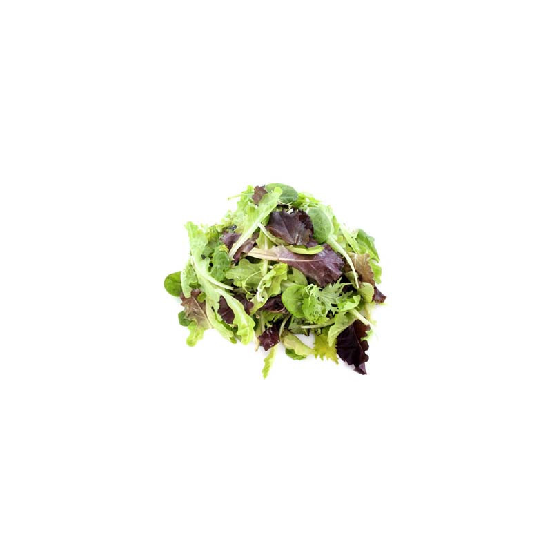 Mesclun Mixed Salad